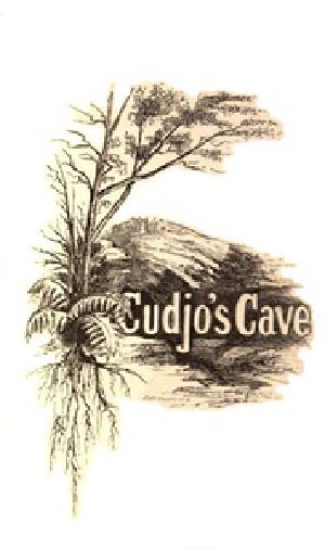 [Gutenberg 31406] • Cudjo's Cave